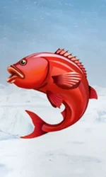 Ice Fishing